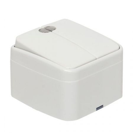 Минск Выключатель 2-клавишный ОП 10А с индикатором белый EKF