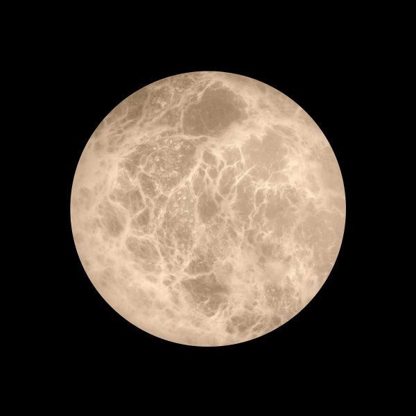 Настенный светильник LOFT IT Emi 10414W/S